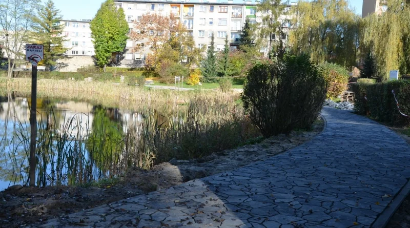 „Staw Tomsi” i Stary Cmentarz w Olkuszu zaczynają zmieniać swoje oblicze